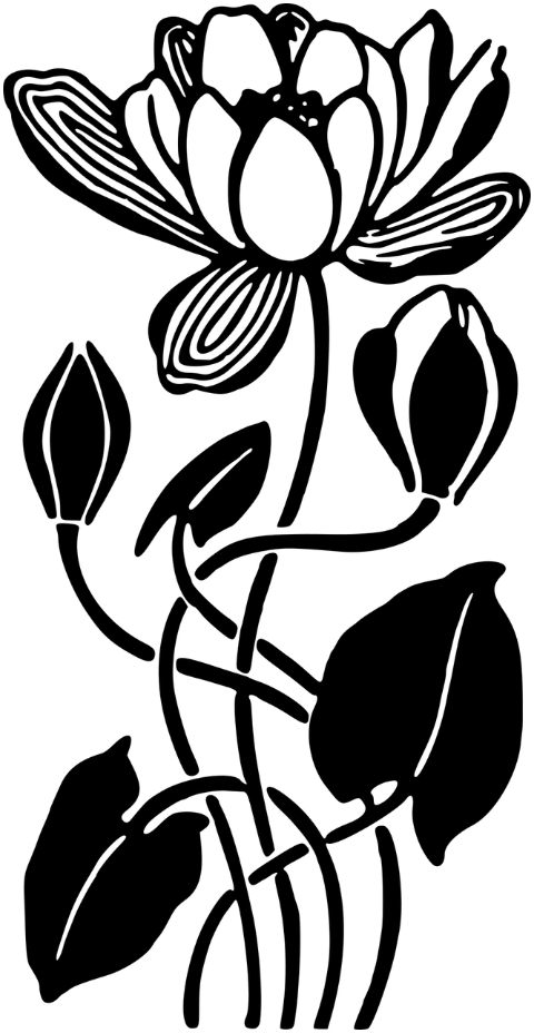 flower-flourish-art-nouveau-plant-7460066
