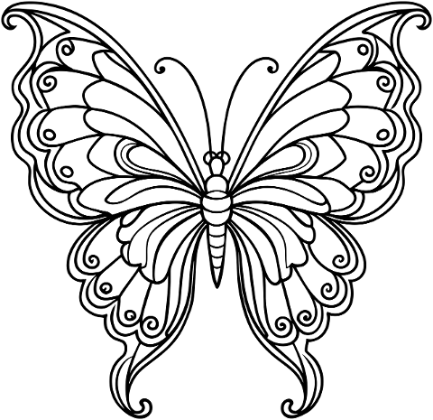 ai-generated-butterfly-insect-9069839