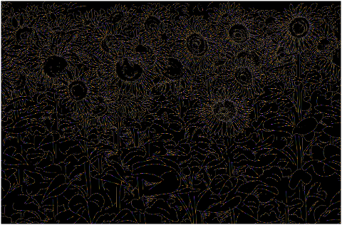 flowers-sunflowers-floral-line-art-8197280