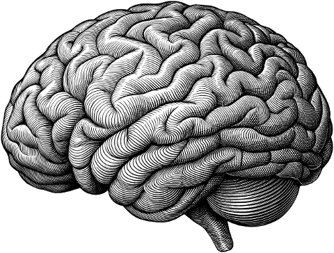 ai-generated-brain-mind-anatomy-9565803