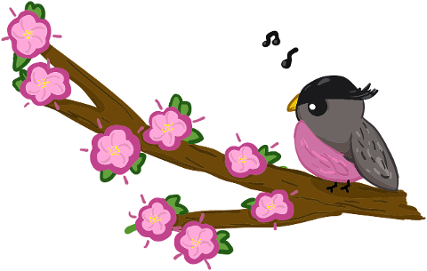 bird-branch-flowers-petals-tree-6133551