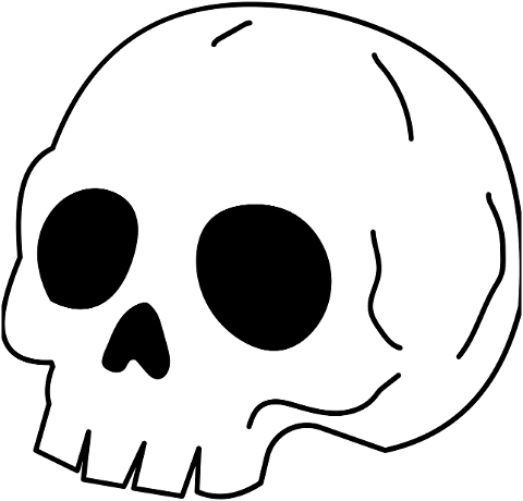 skull-skeleton-horror-scary-black-10480300