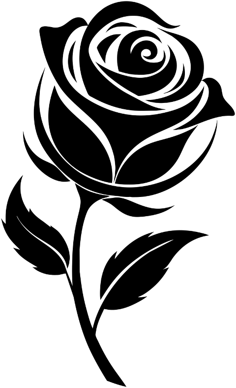 rose-flower-plant-decorative-8815247