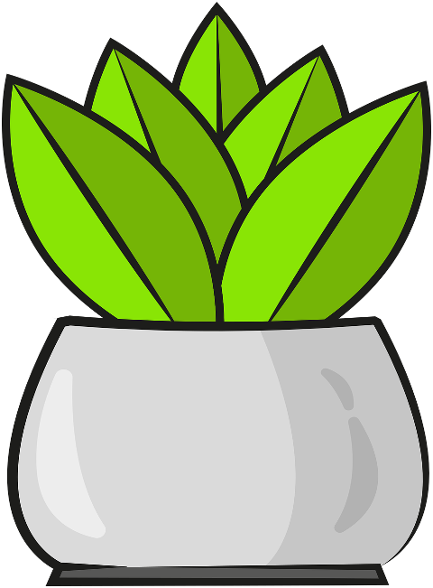 leaves-plant-plant-pot-houseplant-6470532