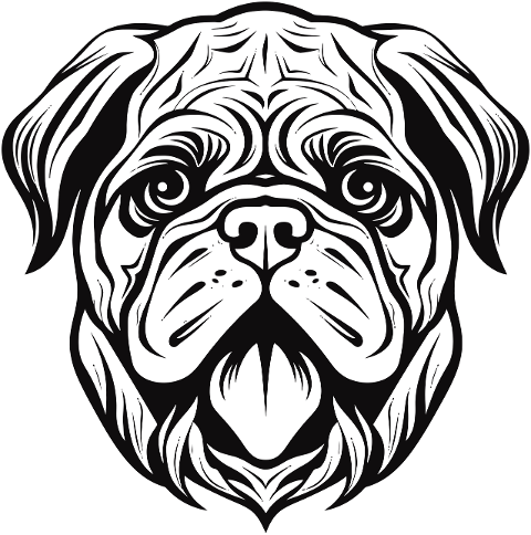 pug-black-outlined-artwork-8819757