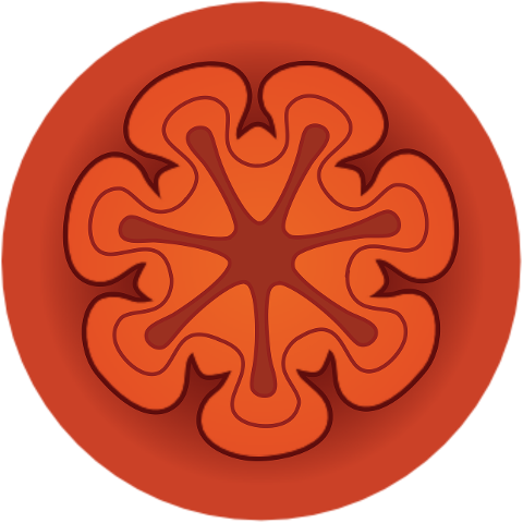 steiner-planetary-seals-9507277