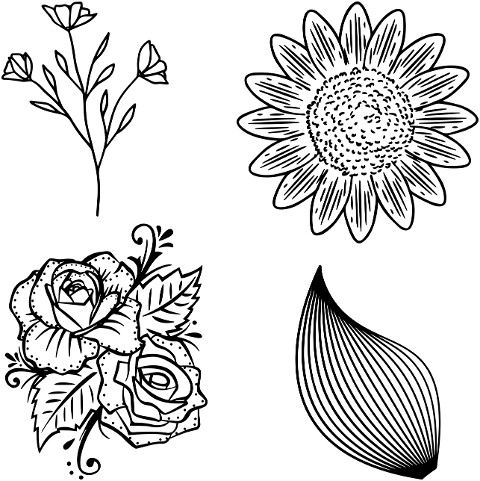 flower-sunflower-rose-poppy-leaf-7080489