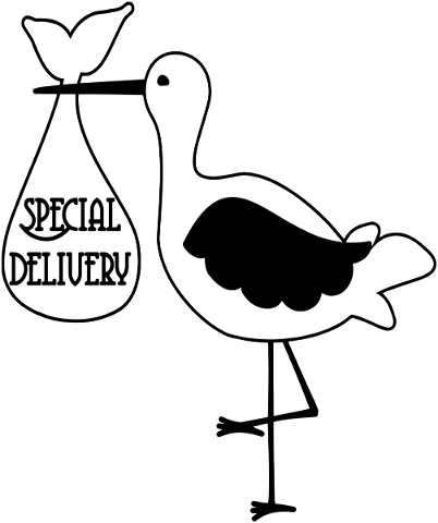 baby-stork-special-delivery-baby-4794446