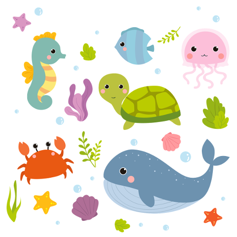 animals-cute-animals-aquatic-animals-5636913
