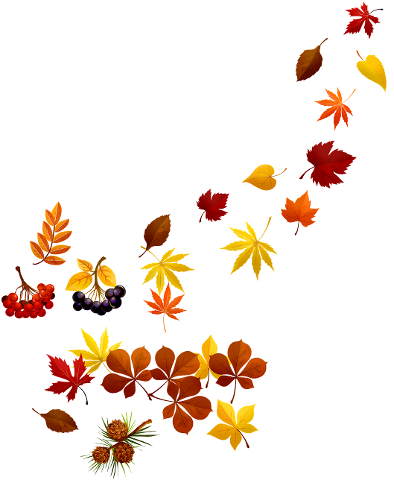 fall-leaves-autumn-leaf-nature-4393887