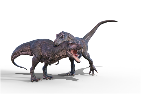 nature-animals-dinosaur-t-rex-4562370