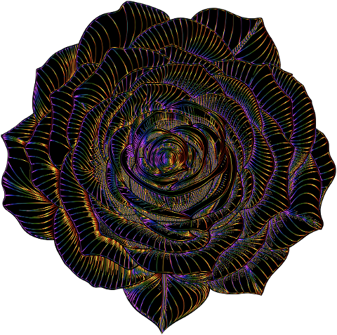 rose-flower-plant-line-art-nature-9604601