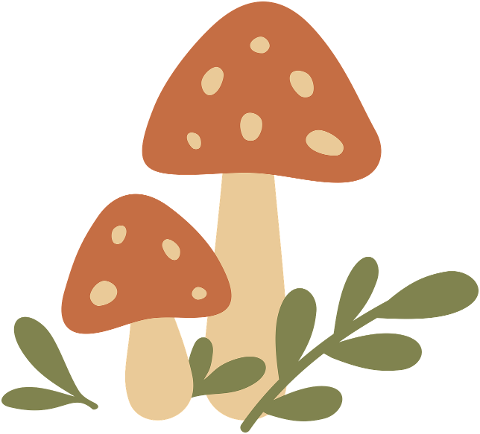 nature-autumn-forest-mushroom-9720716