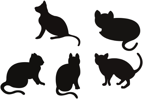 cat-silhouettes-cats-kitty-pet-4880932
