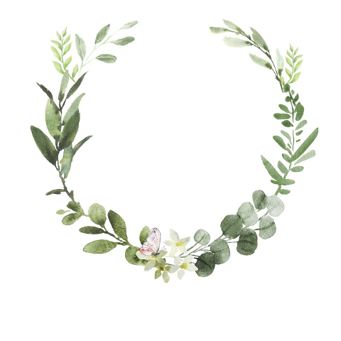 wreath-flower-leaves-frame-6316914