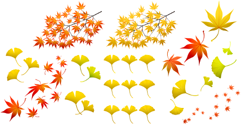 fall-leaves-autumn-leaf-nature-4393889