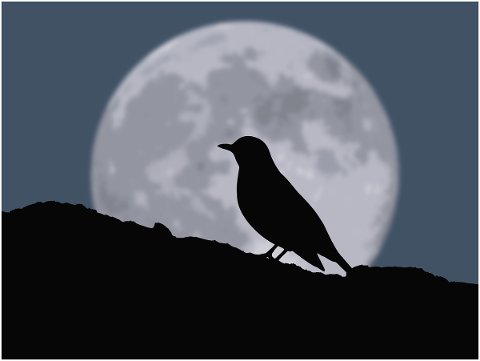 crow-moon-silhouette-landscape-4671822