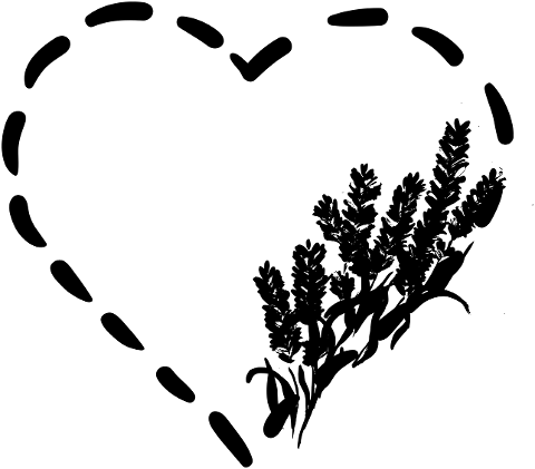 heart-lavender-herbs-love-7679066