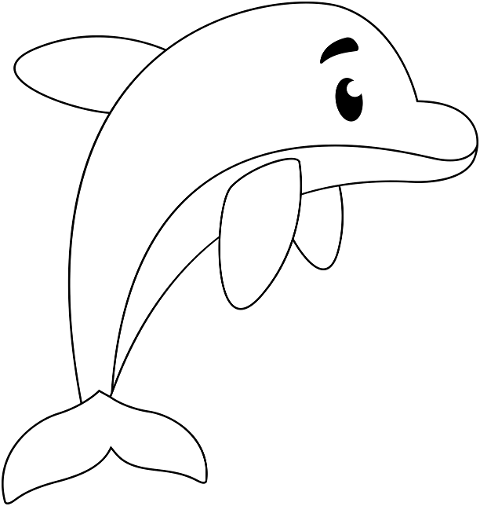 dolphin-animal-cute-kawaii-6387856