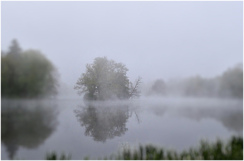 nature-park-lake-fog-mood-5146853