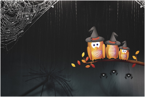 spiders-owls-halloween-web-dark-5978177