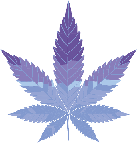 cannabis-marijuana-hemp-ganja-5962570