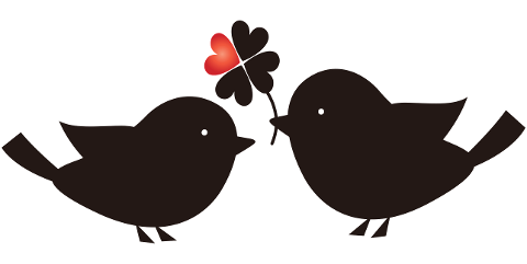 love-birds-clover-silhouette-6007972
