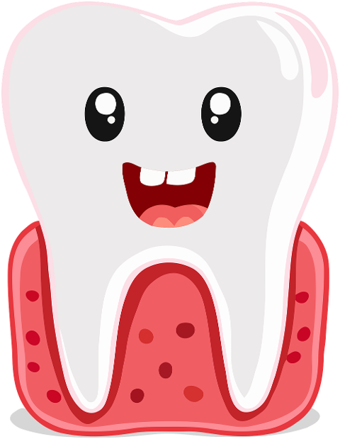 tooth-teeth-dental-dentistry-8884057
