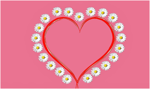 flowers-heart-love-daisy-6235703