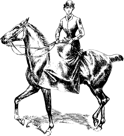 horse-stallion-equestrian-animal-6196152