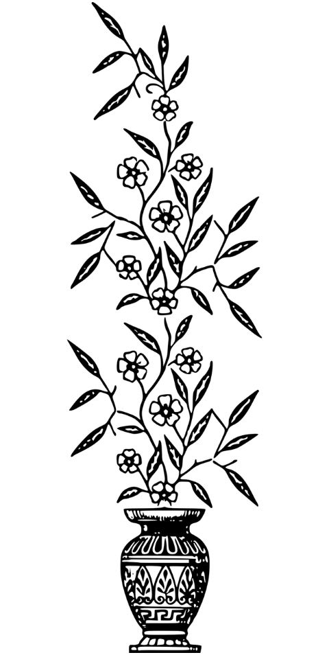 flowers-vase-plant-line-art-7756128