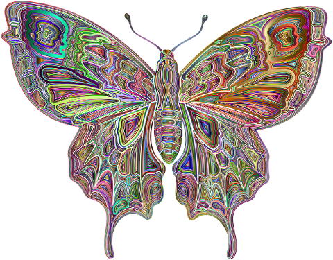 insect-butterfly-abstract-geometric-6911232