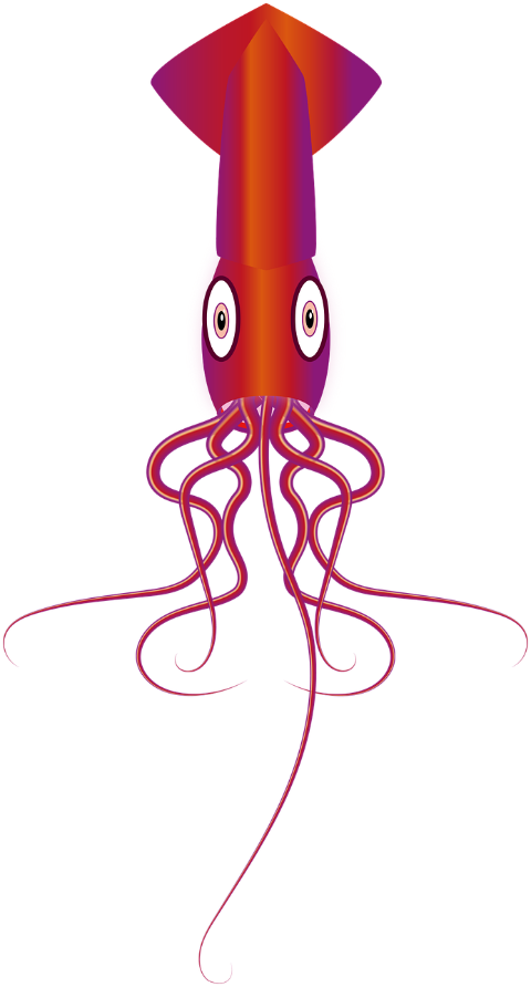 squid-marine-animal-animal-clip-art-7487155