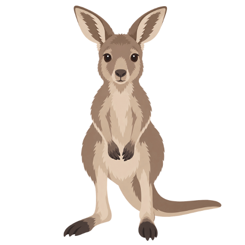 kangaroo-australian-animal-marsupial-10479722