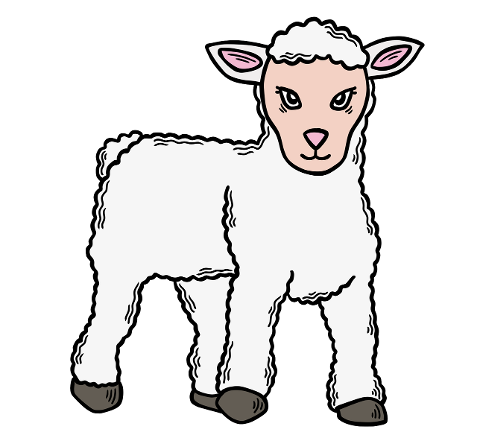lamb-christianity-symbol-holy-week-6087203