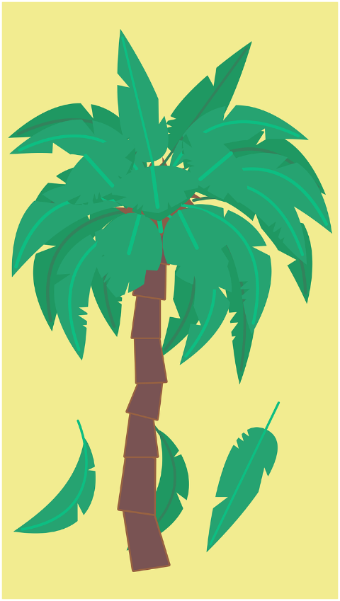 coconut-tree-palm-tree-nature-6641489