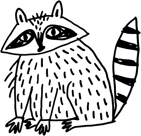 raccoon-doodle-sketch-cartoon-10394472