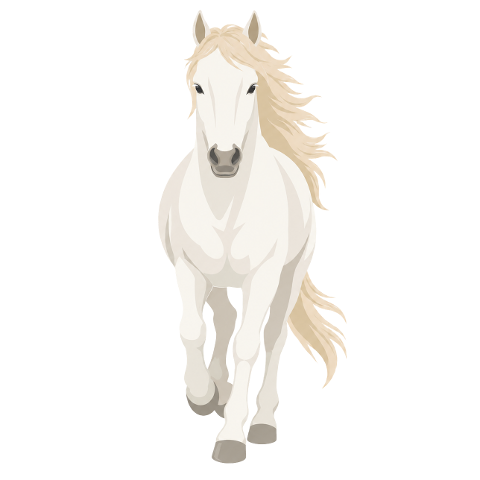 white-horse-horse-horse-mane-10355367