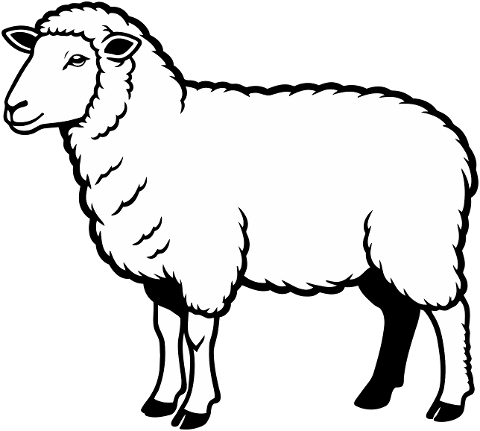 sheep-farm-animal-cartoon-outline-9925390