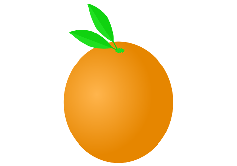 orange-fruit-citrus-fruit-cutout-6577524
