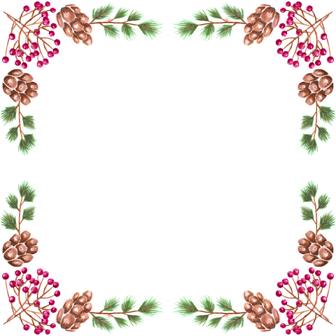 foliage-rowan-berries-cones-needles-6166518