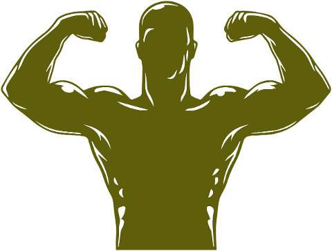 gym-logo-fitness-exercise-6560336