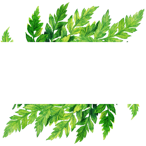 leaves-foliage-frame-banner-green-6747971