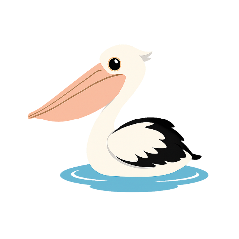 australian-pelican-bird-waterbird-10314217