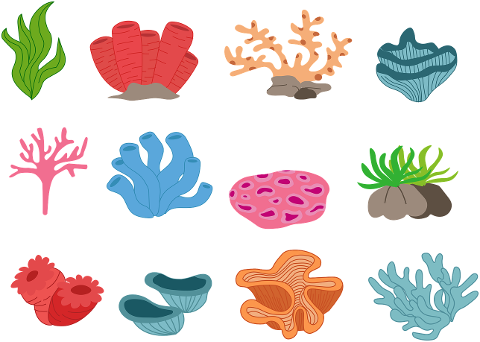 coral-reef-sea-underwater-ocean-9686700