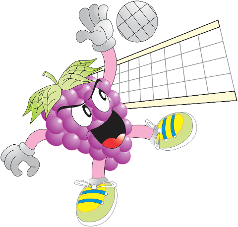 grape-ball-volleyball-sport-fruit-6908883