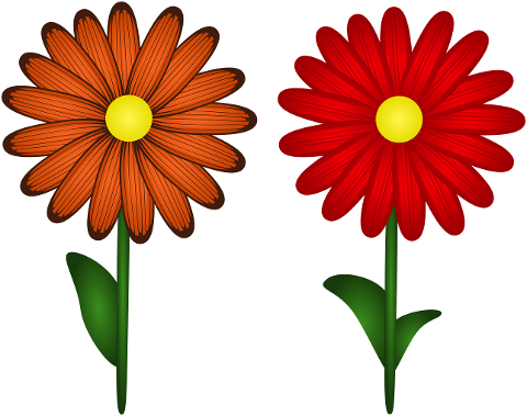 gerbera-flowers-plants-design-7188283