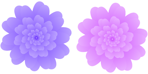 flowers-petals-pink-flower-design-7236942