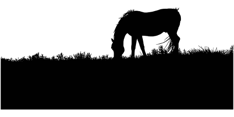 horse-grazing-field-silhouette-8005802