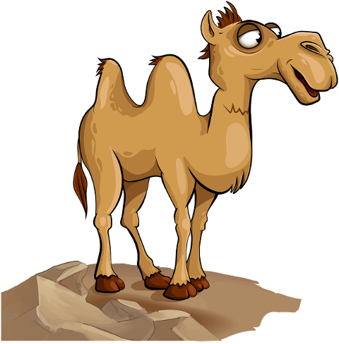 camel-desert-two-humped-animal-7751098